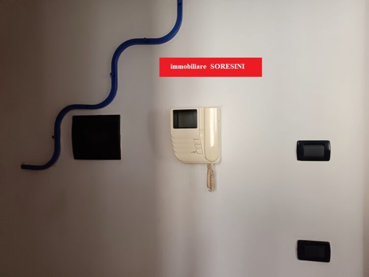 IMG_20260121_084719 1769507412 gallery 750x563